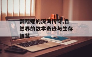 鹦鹉螺的深海传奇,自然界的数学奇迹与生存智慧