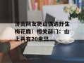 济南网友爬山偶遇野生梅花鹿！相关部门：山上共有20余只