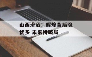 山西汾酒：辉煌背后隐忧多 未来待破局