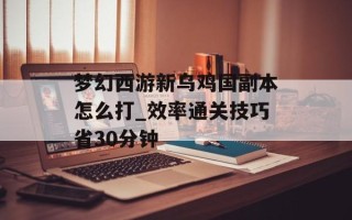 梦幻西游新乌鸡国副本怎么打_效率通关技巧省30分钟