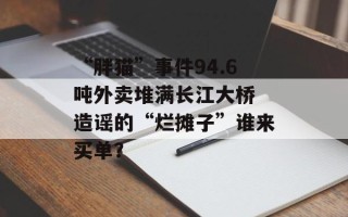 “胖猫”事件94.6吨外卖堆满长江大桥 造谣的“烂摊子”谁来买单？