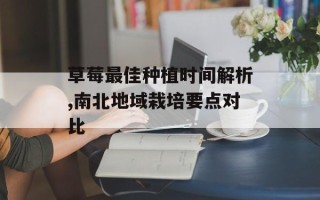草莓最佳种植时间解析,南北地域栽培要点对比