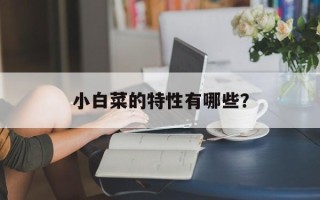 小白菜的特性有哪些？