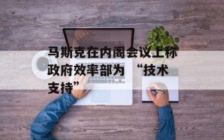 马斯克在内阁会议上称政府效率部为 “技术支持”