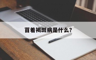 苜着褐斑病是什么？