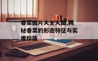 香菜图片大全大图,揭秘香菜的形态特征与实用价值
