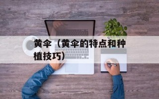 黄伞（黄伞的特点和种植技巧）