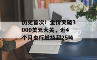 历史首次！金价突破3000美元大关，近4个月央行增持超25吨
