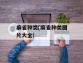 麻雀种类(麻雀种类图片大全)