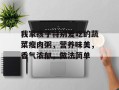 我家孩子特别爱吃的蔬菜瘦肉粥，营养味美，香气浓郁，做法简单