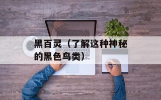 黑百灵（了解这种神秘的黑色鸟类）