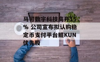 马可数字科技高开15% 公司宣布拟认购稳定币支付平台鲲KUN优先股