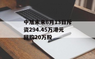 中旭未来6月13日斥资294.45万港元回购20万股