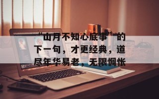 “山月不知心底事”的下一句，才更经典，道尽年华易老，无限惆怅