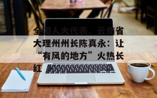 全国人大代表、云南省大理州州长陈真永：让“有风的地方”火热长红