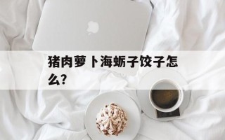 猪肉萝卜海蛎子饺子怎么？