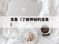 龙象（了解神秘的龙象）