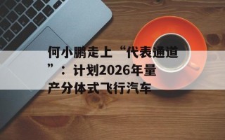 何小鹏走上“代表通道”：计划2026年量产分体式飞行汽车