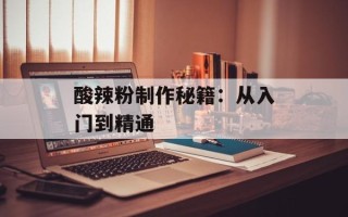 酸辣粉制作秘籍：从入门到精通