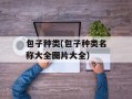 包子种类(包子种类名称大全图片大全)