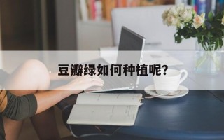 豆瓣绿如何种植呢？