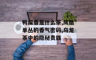鸭屎香是什么茶,凤凰单丛的香气密码,乌龙茶中的隐秘贵族