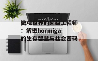 微观世界的超级工程师：解密hormiga的生存智慧与社会密码