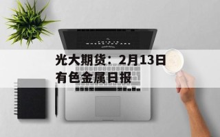 光大期货：2月13日有色金属日报