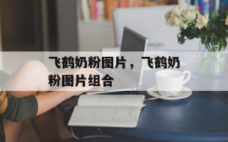 飞鹤奶粉图片，飞鹤奶粉图片组合