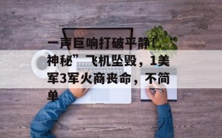 一声巨响打破平静！“神秘”飞机坠毁，1美军3军火商丧命，不简单