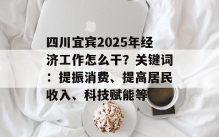 四川宜宾2025年经济工作怎么干？关键词：提振消费、提高居民收入、科技赋能等