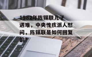 1982年陈锡联儿子遇难，中央愧疚派人慰问，陈锡联是如何回复的？