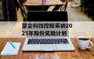 望尘科技控股采纳2025年股份奖励计划
