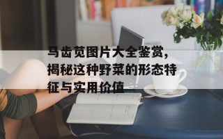 马齿苋图片大全鉴赏,揭秘这种野菜的形态特征与实用价值