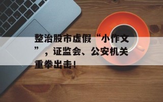 整治股市虚假“小作文”，证监会、公安机关重拳出击！