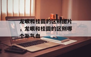 龙眼和桂圆的区别图片，龙眼和桂圆的区别哪个补气血