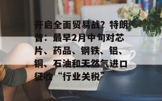 开启全面贸易战？特朗普：最早2月中旬对芯片、药品、钢铁、铝、铜、石油和天然气进口征收“行业关税”