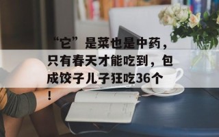 “它”是菜也是中药，只有春天才能吃到，包成饺子儿子狂吃36个！