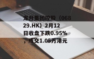 龙升集团控股（06829.HK）2月12日收盘下跌0.95%，成交1.05万港元