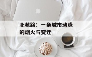 北苑路：一条城市动脉的烟火与变迁