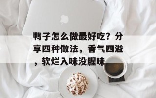 鸭子怎么做最好吃？分享四种做法，香气四溢，软烂入味没腥味