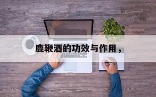 鹿鞭酒的功效与作用，