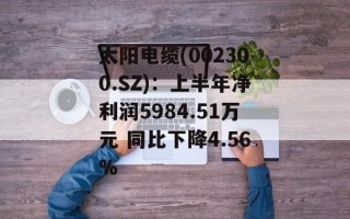 太阳电缆(002300.SZ)：上半年净利润5984.51万元 同比下降4.56%