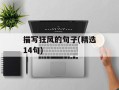 描写狂风的句子(精选14句)