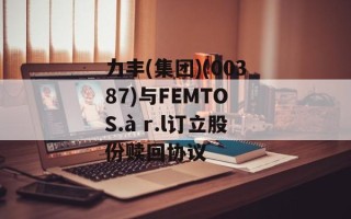 力丰(集团)(00387)与FEMTO S.à r.l订立股份赎回协议