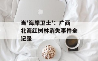 当'海岸卫士'：广西北海红树林消失事件全记录