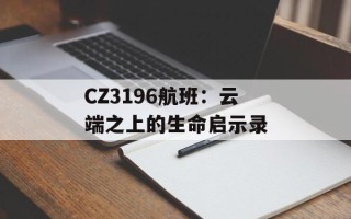 CZ3196航班：云端之上的生命启示录