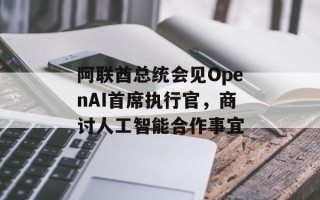 阿联酋总统会见OpenAI首席执行官，商讨人工智能合作事宜