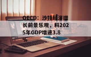 OECD：沙特经济增长前景乐观，料2025年GDP增速3.8%