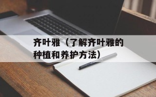 齐叶雅（了解齐叶雅的种植和养护方法）